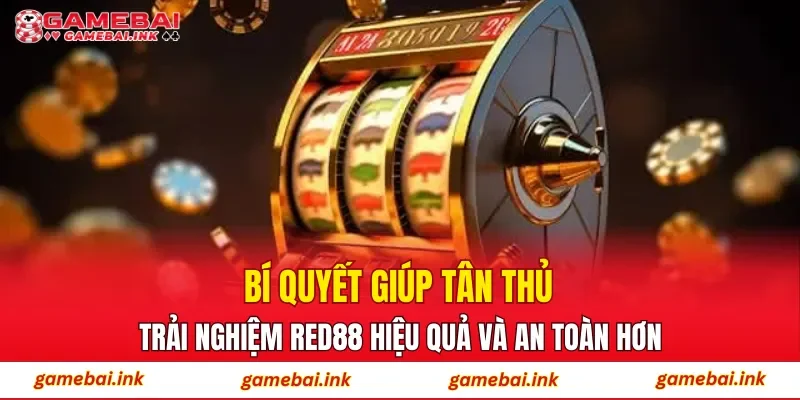 Bí quyết giúp tân thủ trải nghiệm RED88 hiệu quả và an toàn hơn