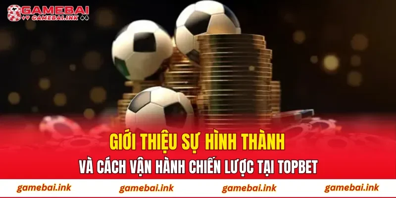 TOPBET - Bỏ Túi Bí Quyết Săn Thưởng Từ Cao Thủ Lâu Năm 2 Giới thiệu sự hình thành và cách vận hành chiến lược tại TOPBET